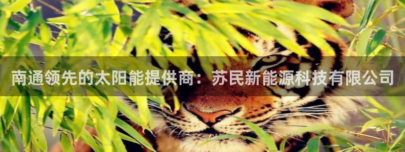 进入sunbet官网手机版登陆