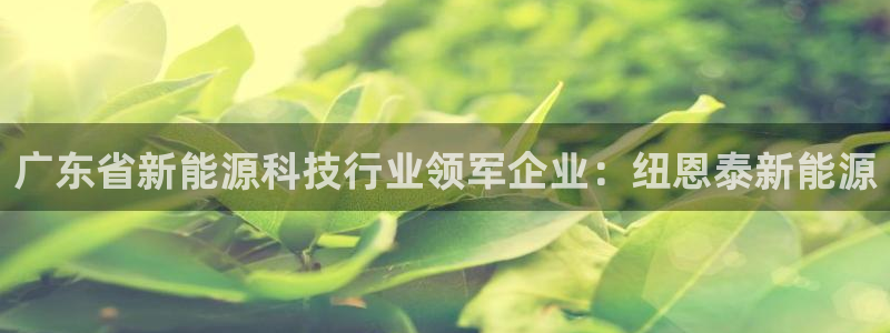 sunbet官网开户登录手机版