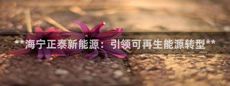 sunbet首页登录入口