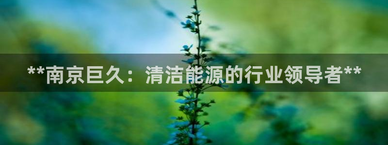 sunbet官网手机版登录