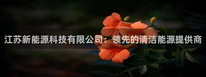 sunbething怎么读