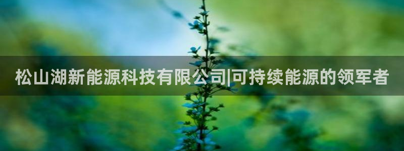 申博app下载