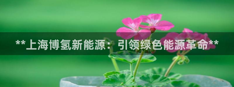 sunbet申搏平台