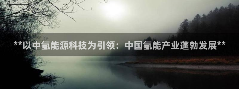 申博手机版app下载