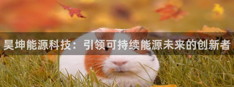 sunbet官网代理下载