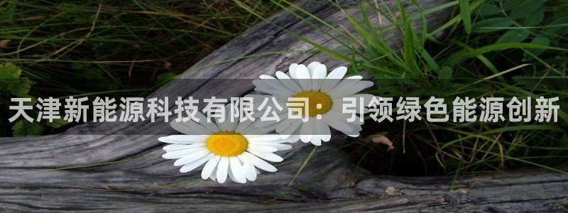 sunbet中文
