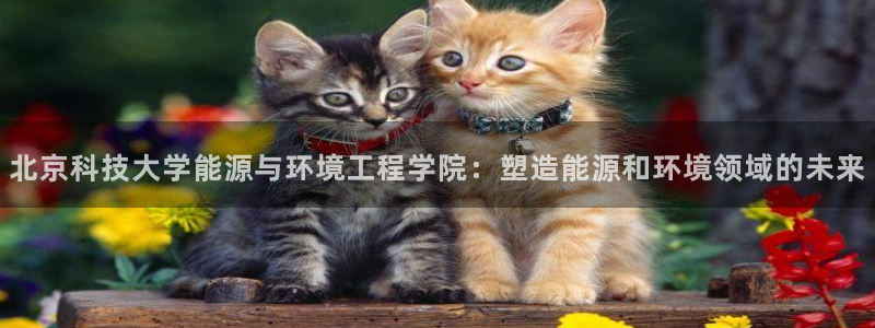 sunbet中国官网