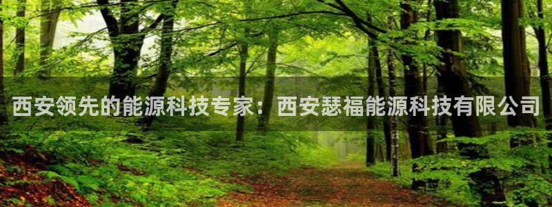申博手机版官网