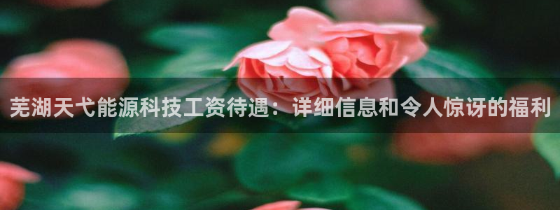 sunbet手机app版