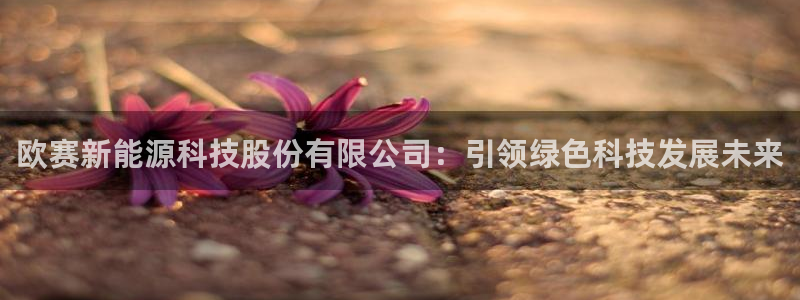 sunbet安卓下载