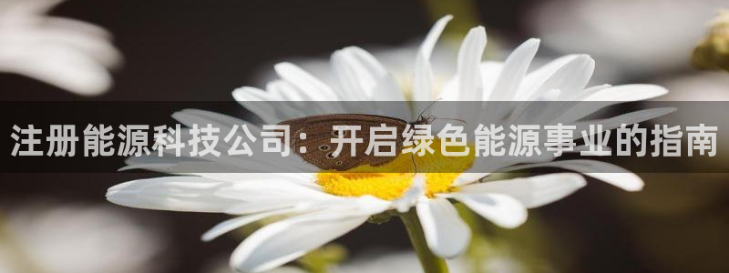 sunbet手机app版
