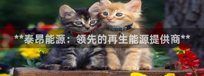 sunbething怎么读