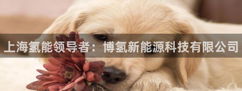 sunbet首页登录入口