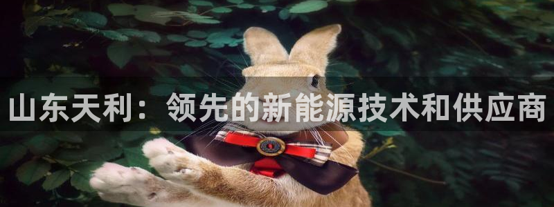 sunbet程序