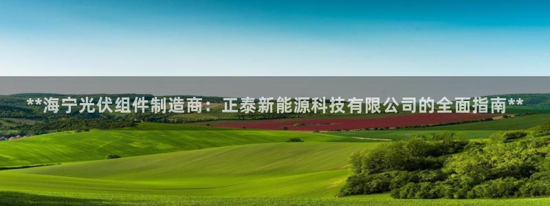 sunbet最新消息