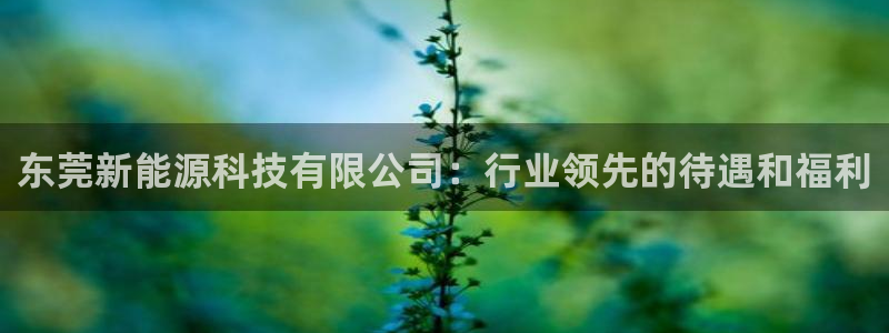 sunbet官网手机版