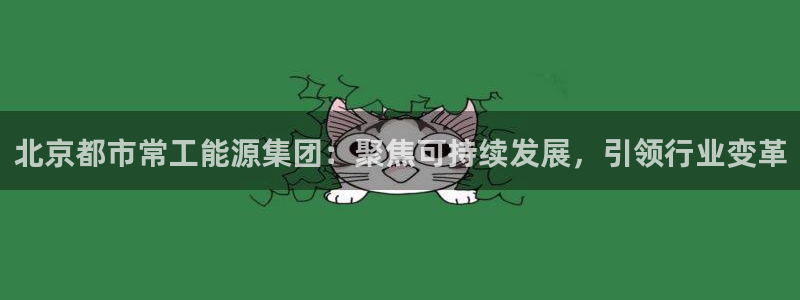 sunbet源码