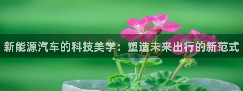 sunbet苹果官网下载
