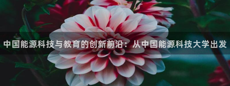 申慱sunbet版app