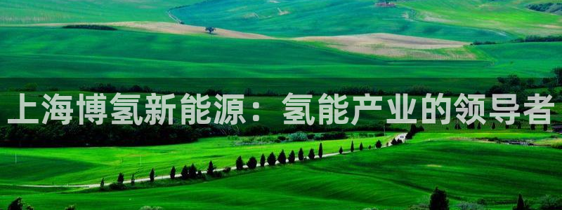 sunbet官网手机版