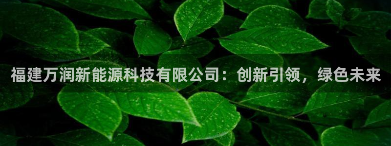 sunbet手机网页版