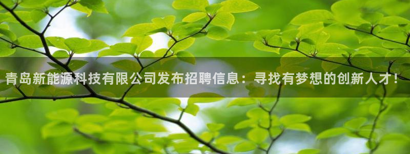 sunbet最新登陆