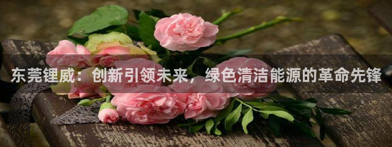 sunbet手机端