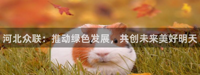 申慱sunbet手机版登