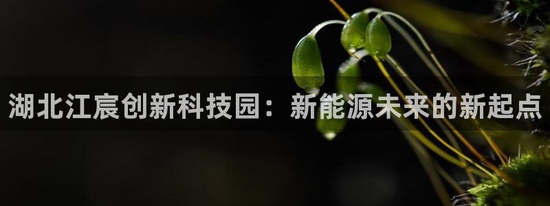 申慱sunbet手机版登