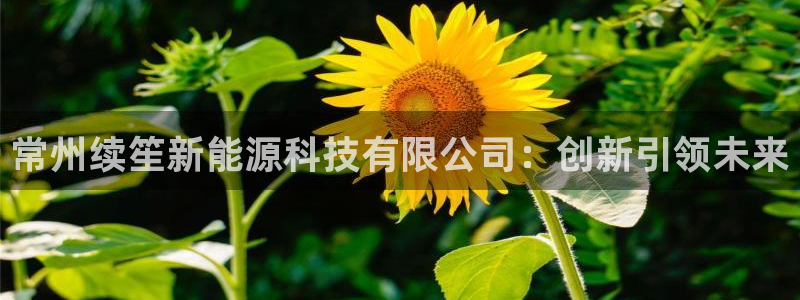 sunbet手机app版