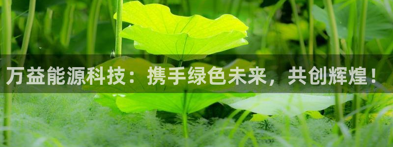 sunbet官网手机版