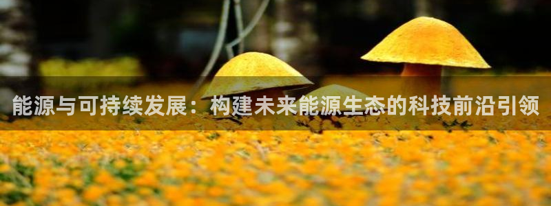 sunbet官网手机版登录