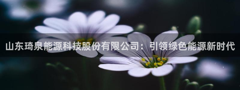 sunbet官网代理下载