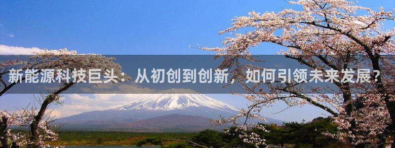 sunbet源码