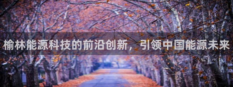 sunbet最新消息