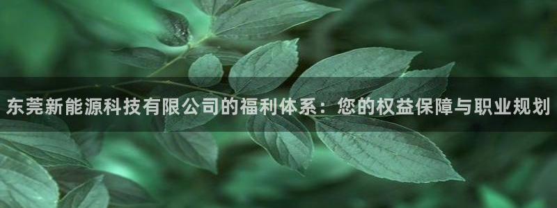 sunbet手机app版