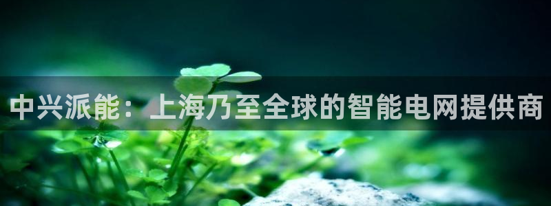 sunbet官网app首页