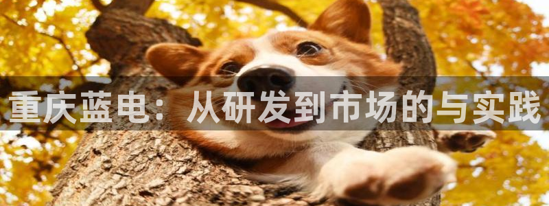sunbet手机版登录