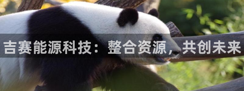 申博官方网站手机版下载