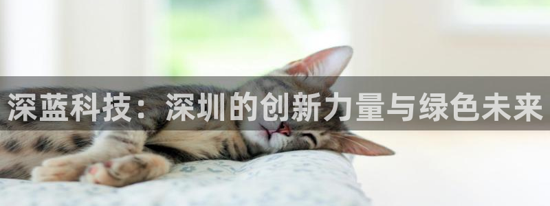 sunbet官网代理下载