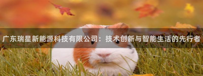 sunbet手机app版