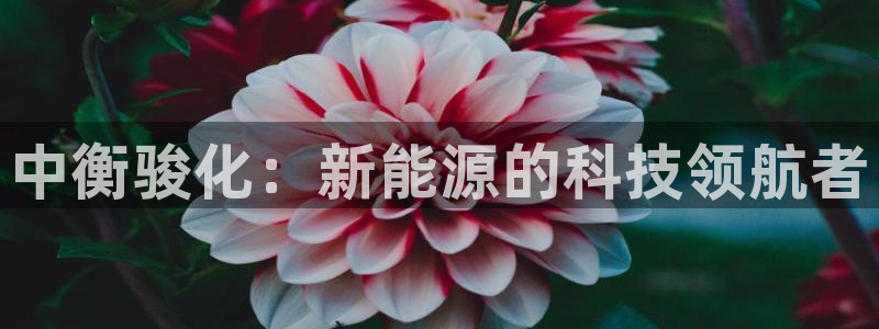 申博手机版官网