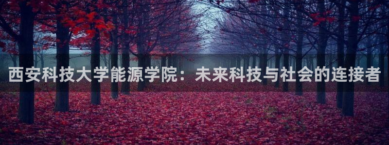 sunbet申搏官方网站
