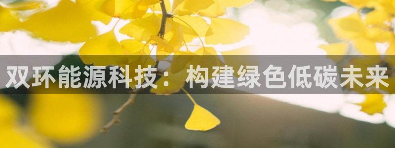 sunbet燃气灶