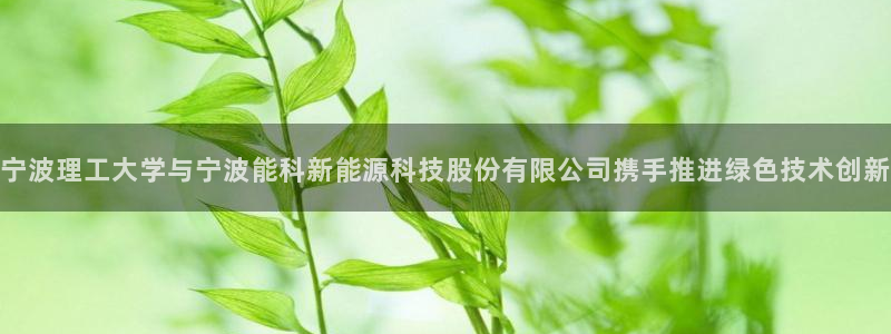 sunbet燃气灶