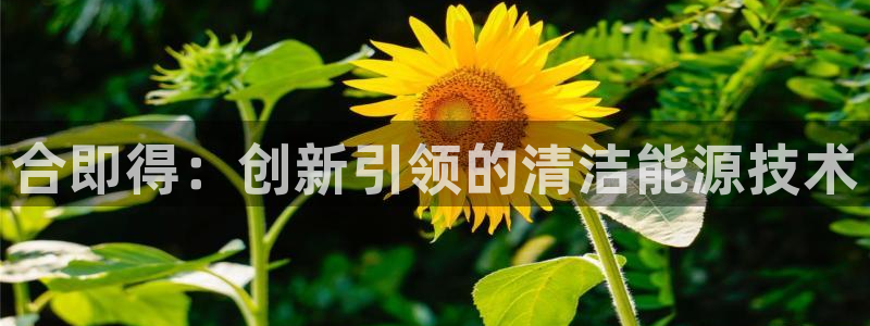 sunbet官网welcome