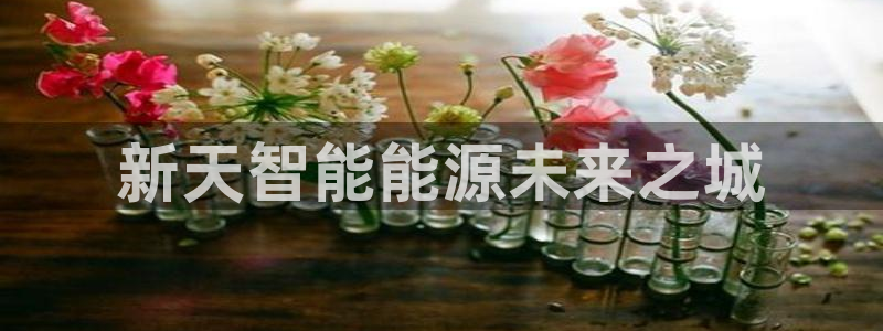 sunbet安卓下载