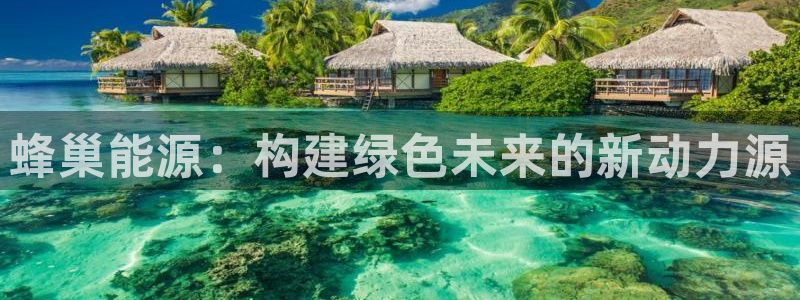 sunbet源码