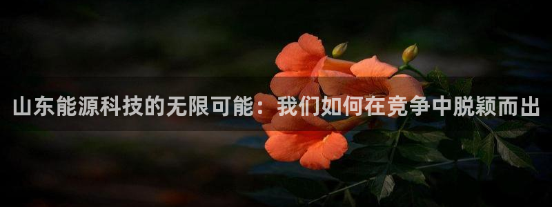 申博视讯
