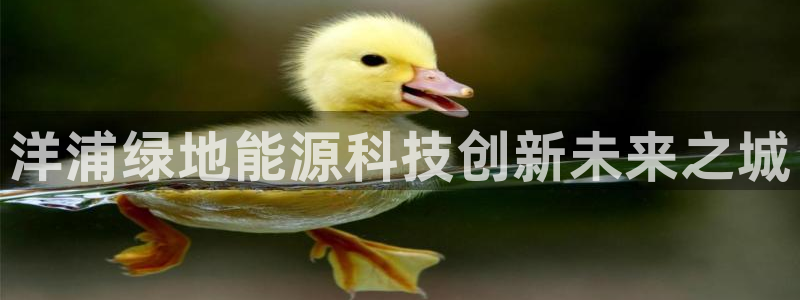 sunbet官网登录首页